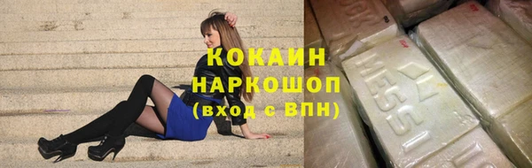 стаф Алзамай