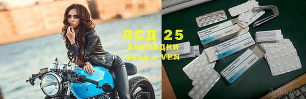 шишки Абинск