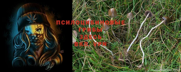 прущий лед Абдулино