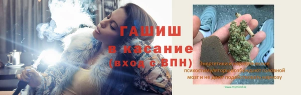 стаф Алзамай