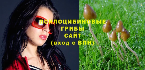 таблы Алексеевка