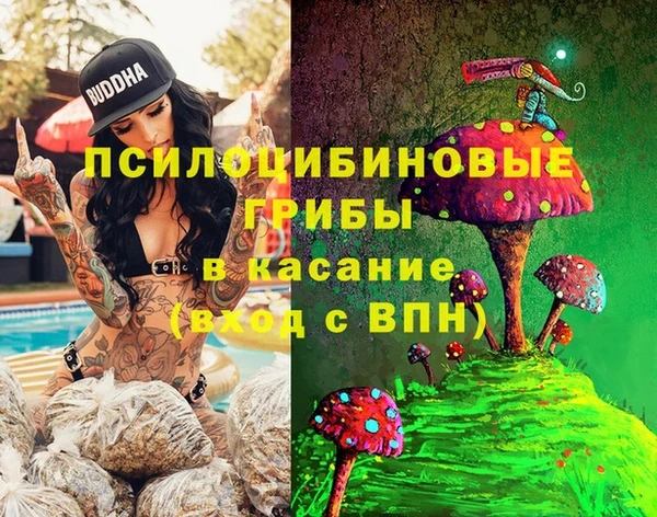 спиды Абаза