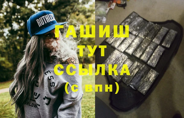 стаф Алзамай