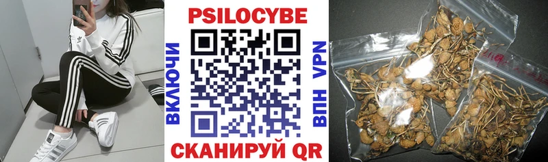 Галлюциногенные грибы прущие грибы Абакан